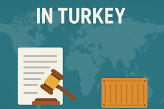 provide expertise import export consultancy and customs guidance for turkey