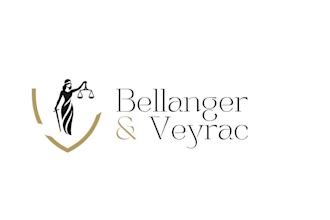 create a professional logo for a law firm, lawyer, notary or legal business