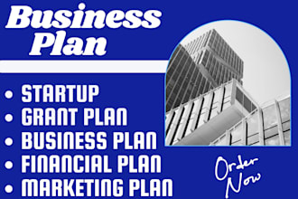 write a complete business plan with a financial plan