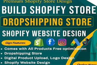 review and optimize your shopify store dropshipping  ecommerce shopify website