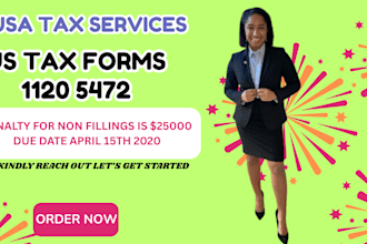 prepare individual and business 1040, 1120, 1065 US tax returns