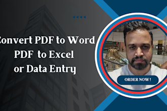 convert pdf to word, pdf to excel or data entry in 24 hours