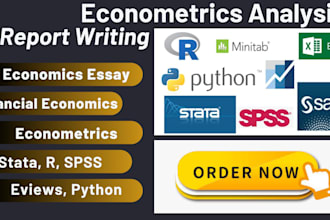 do financial economics, economics, econometrics data analysis, r, stata, eviews