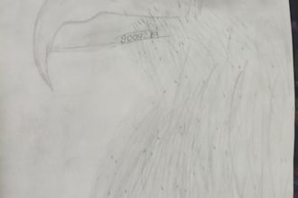 do hand drawn sketch