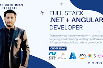 do expert asp dot net core, angular development fast, user friendly solutions