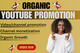 do organic youtube promotion, organic views, channel promotion for monetization