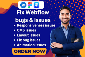 edit template update webflow framer website SEO fix bug layout responsive issues