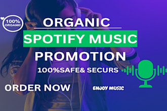run spotify music ads to promote your spotify real audience