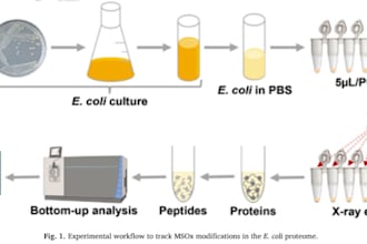deliver expert analytical chemistry and mass spectrometry consultation