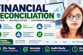 do financial reconciliation, cleanup and difference analysis