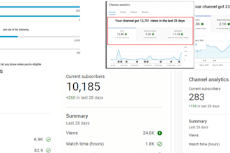 organically promote your youtube channel for monetization boosts your views
