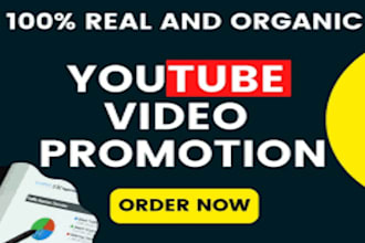 do organic USA youtube  video promotion, USA views, video marketing