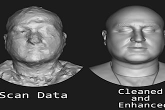 do retopology, clean and edit your 3d scan , 3d mesh, scan 3d data