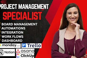 asana clickup notion website monday crm monday trello automation expert