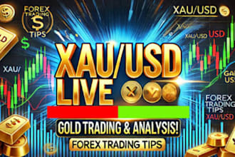 forex channel promotion forex telegram promotion boost with 900m degan traders