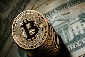 build profitable bitcoin bot app
