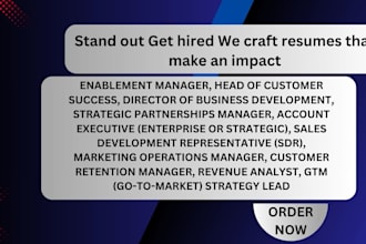 write chief sales officer resume, chief revenue officer