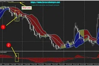 develop automated forex trading strategy for expert advisor, metatrader4,5