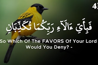 make professional quran recitation videos with translation
