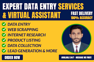 your virtual assistant for data entry, web research, copy paste, file conversion