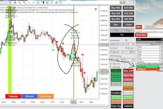 program indicator mt4 mt5 bot pinescript strategy nt8 bot cbot quantower script