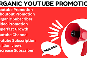 organic youtube promotion video promotion superfast growth on 1milloin subscribe