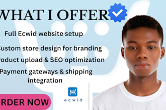 design and redesign ecwid store and promotion ecwid website for maximum sales