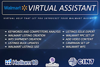 your walmart virtual assistant, listing seo, ppc setup, wfs