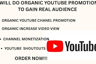 shoutout youtube channel video,organic subs to gain real and active audience