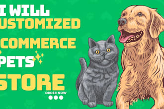 shopify store ecommerce store ecommerce website dropshipping store SEO