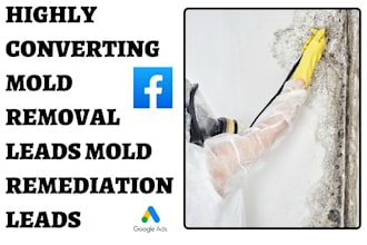 generate highly exclusive mold removal leads mold remediation leads via fb ads