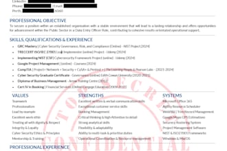 create expert personal resumes ats optimised cvs for admin IT and project roles