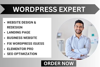 wordpress website expert elementor expert wordpress website developer