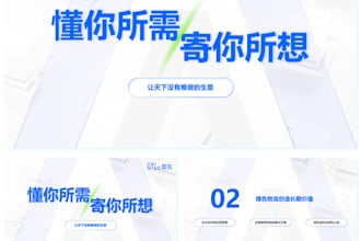 professionally customize a business PPT plan and presentation PPT for you