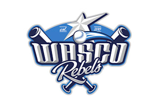 design rebels girls travel softball team logo