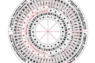 be chinese professional fortune teller