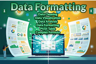 expertly do your excel tasks like data entry, cleaning, formula, lookup, match