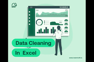 do excel graphs, charts, pivot table, data cleaning, PDF to excel and dashboard
