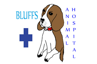 design important animals veterinary clinic logo