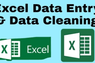 do excel graphs, charts, pivot table, data cleaning, PDF to excel and dashboard