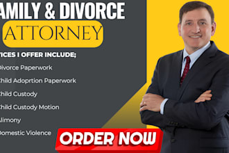 do legal documents for child custody, divorce, wills, and family law disputes