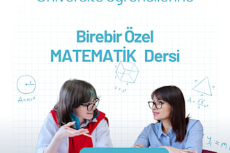 teach mathematic course to university students who studying social sciences