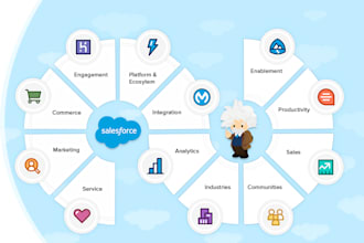 salesforce CRM developer salesforce admin setup