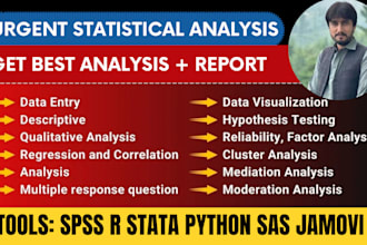 do statistical data analysis in spss, minitab,r, excel with reports