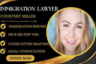 prepare a strong eb1 and eb2 niw visa case and immigration law