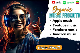 do amazon music tidal youtube apple music deezer pandora music promotion