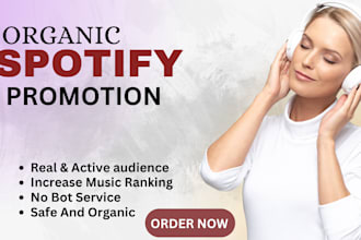 do spotify music promotion through ads campaign