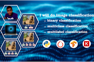 provide image classification services