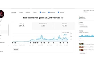 youtube video SEO expert for fast and effective ranking