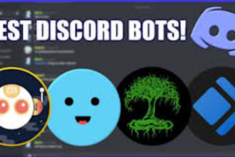 make a professional custom coded discord bot